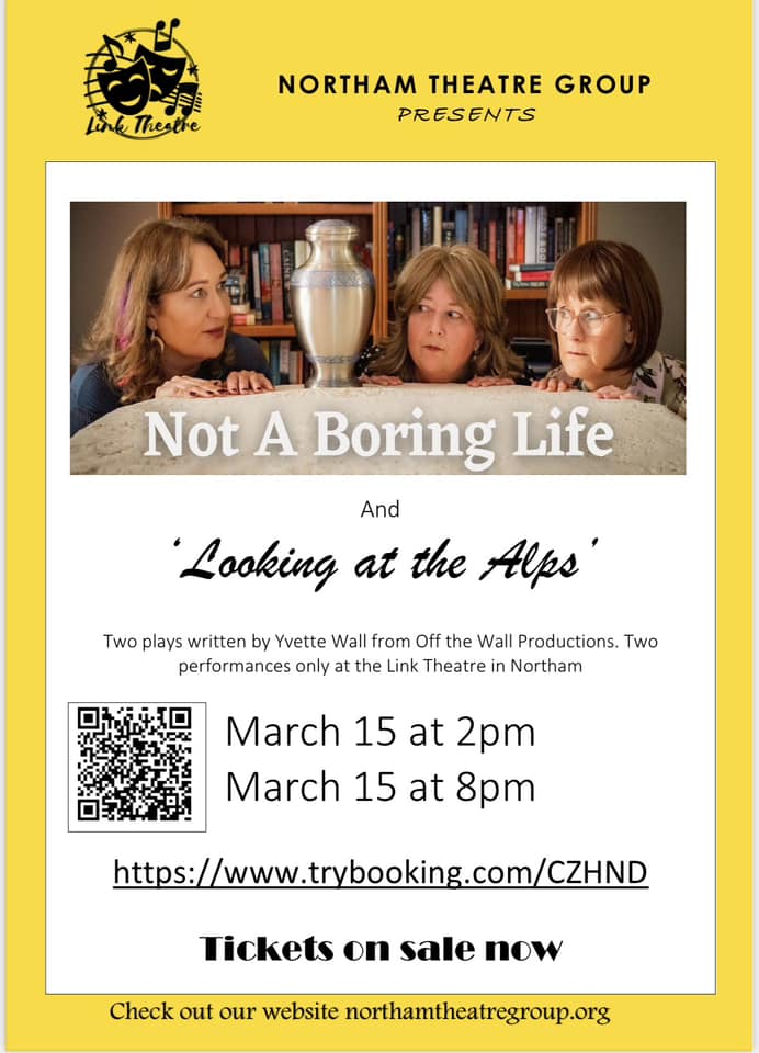 Not A Boring Life theatre production