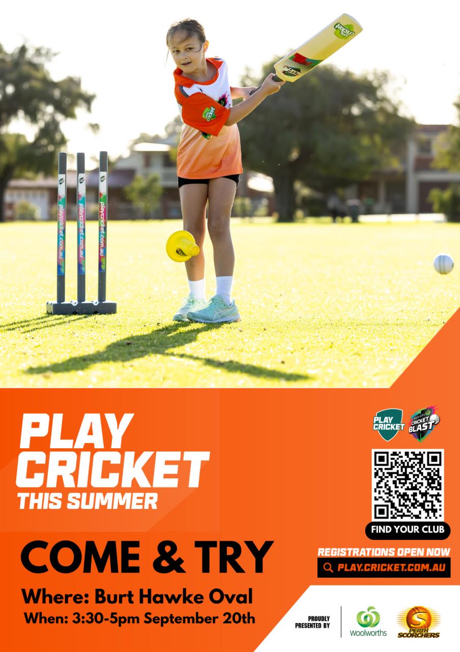 Play Cricket This Summer - Come And Try