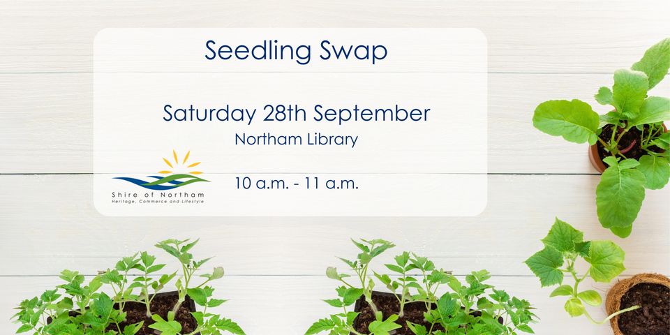 Seedling Swap At Northam Library